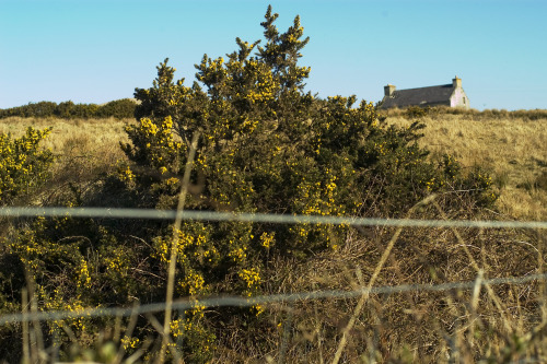 Cill Rialaig, Ireland